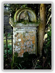 IMGP1896